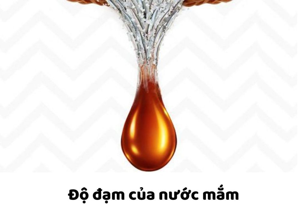 Độ đạm của nước mắm: Yếu tố quyết định đến chất lượng và hương vị 8 Do dam cua nuoc mam