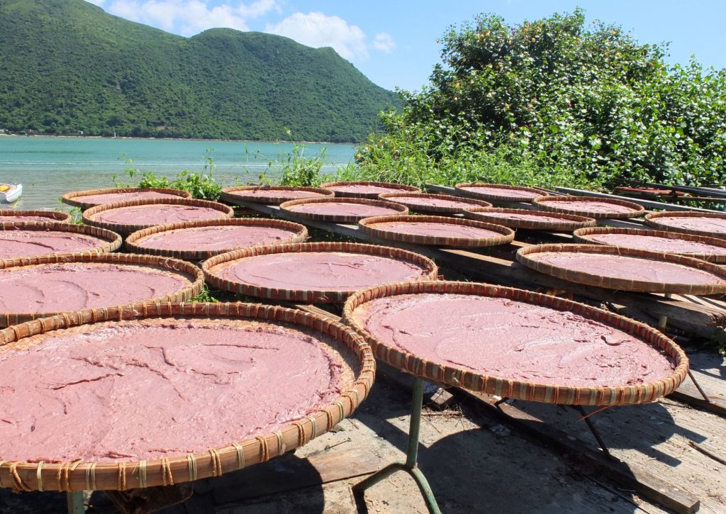 Mắm tôm làm từ gì? Khám phá bí mật đằng sau hương vị đặc trưng 4 ic 14