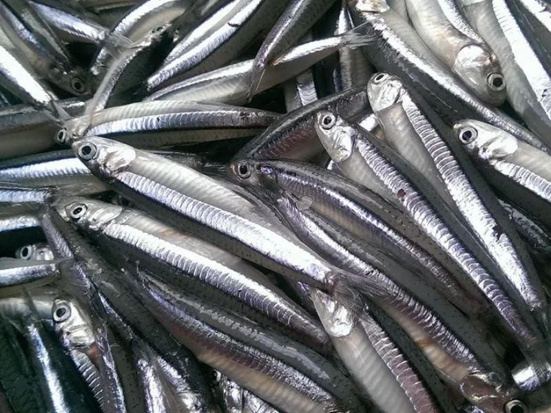 Khởi nghiệp thành công với mô hình sản xuất mắm nêm đặc sản