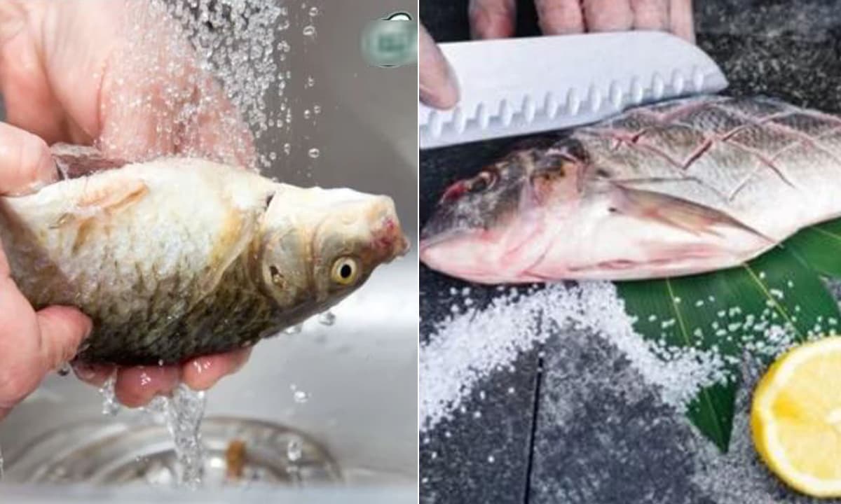 Công dụng của dấm bỗng trong nấu ăn - Khử mùi tanh
