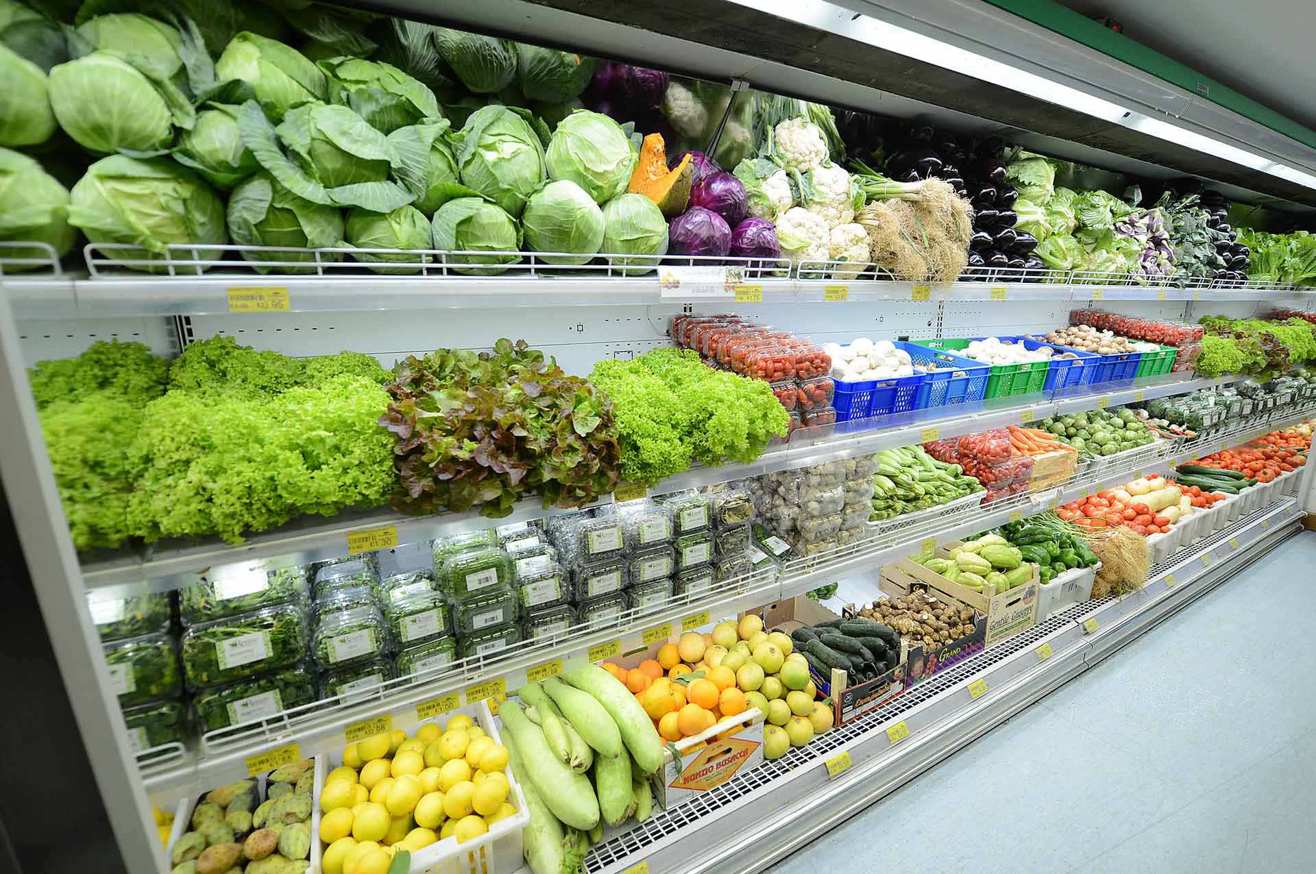 Làm thế nào để phân biệt thực phẩm sạch thật sự? 5 Rau củ quả sạch