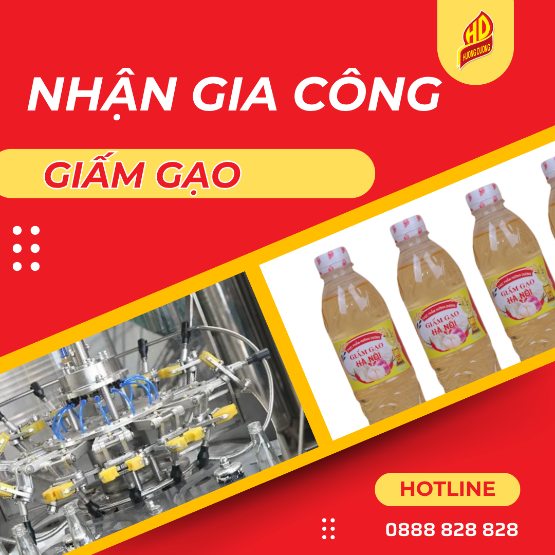 Hướng Dương nhận Gia Công Giấm Gạo